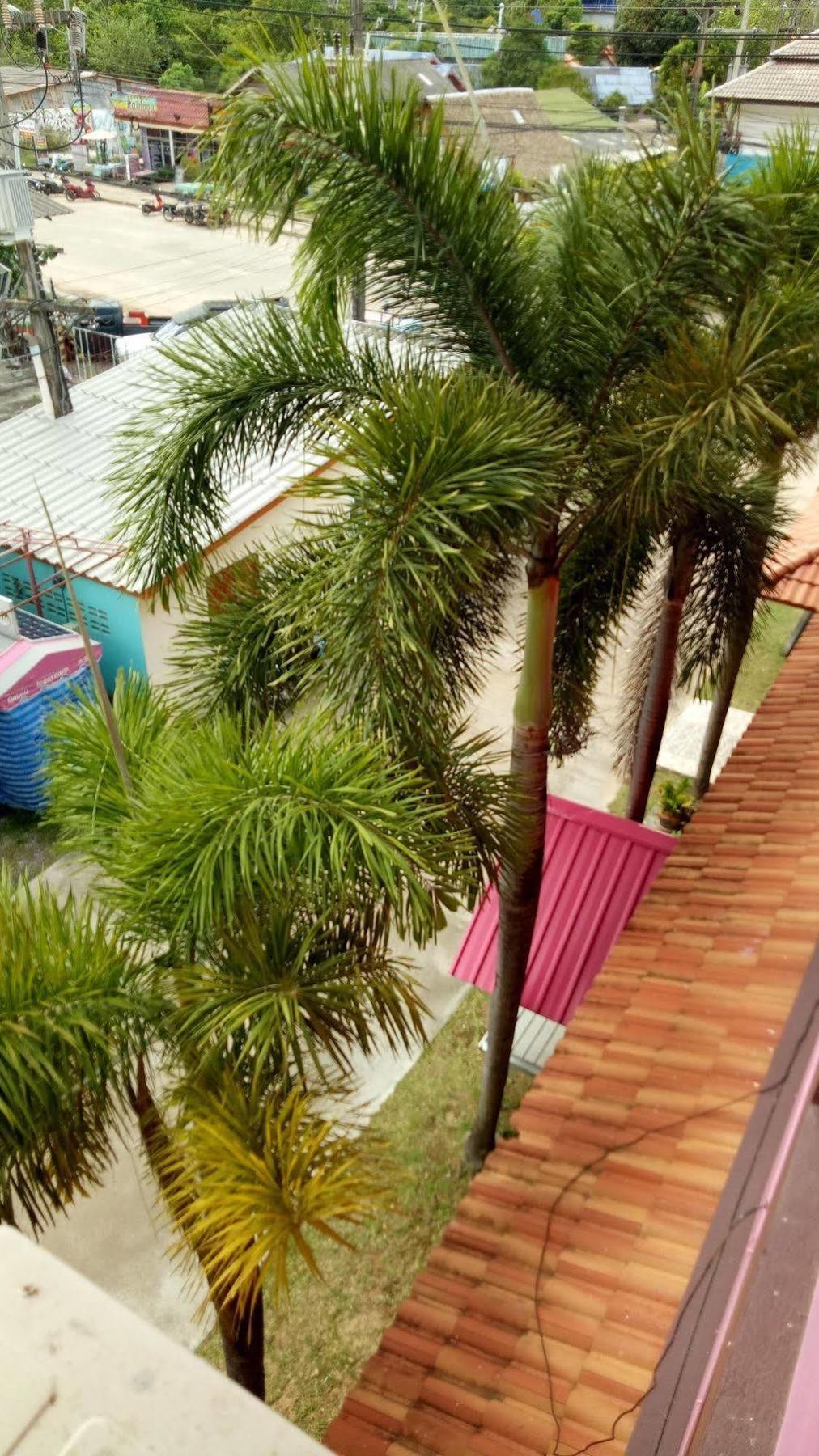 Ko Lanta 兰塔甜蜜公馆酒店 外观 照片